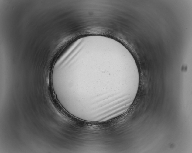 X0000099540062200806061503