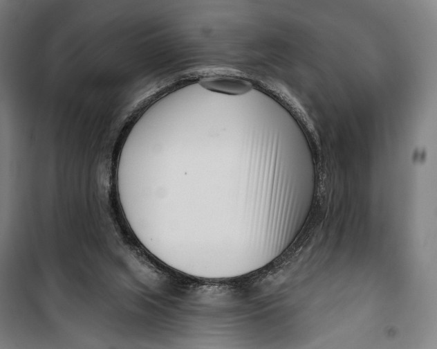 X0000099540063200806061503