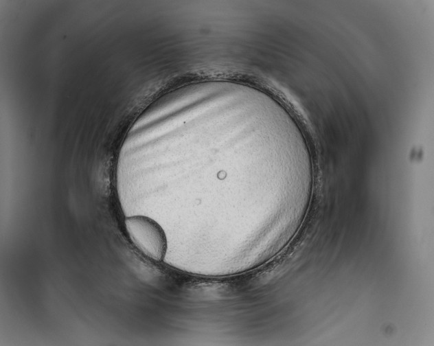 X0000099540065200806061503