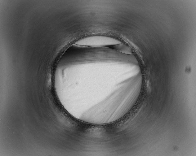 X0000099540067200806061504