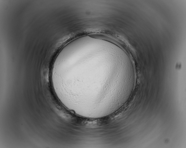 X0000099540068200806061504