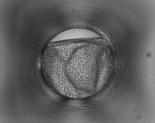 X0000099540069200806061504