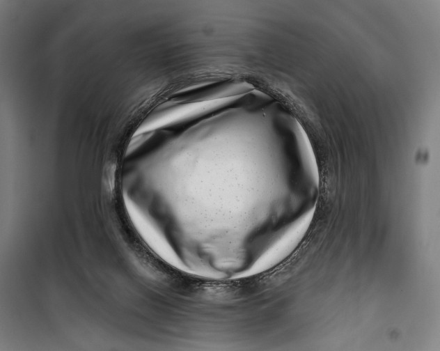 X0000099540070200806061504