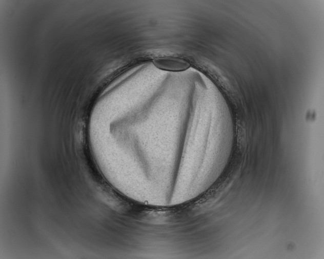 X0000099540071200806061504