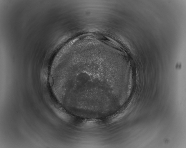 X0000099540072200806061504