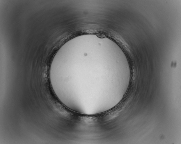 X0000099540073200806061504