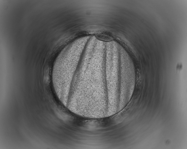 X0000099540074200806061504