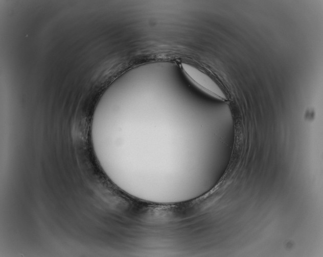 X0000099540078200806061504