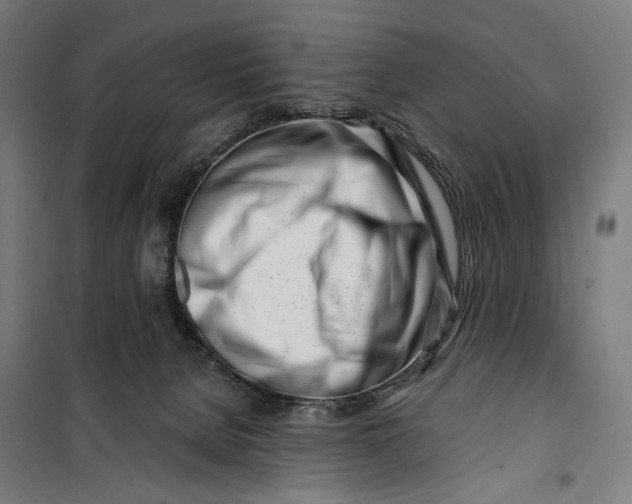 X0000099540080200806061504