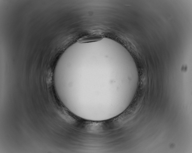 X0000099540081200806061504