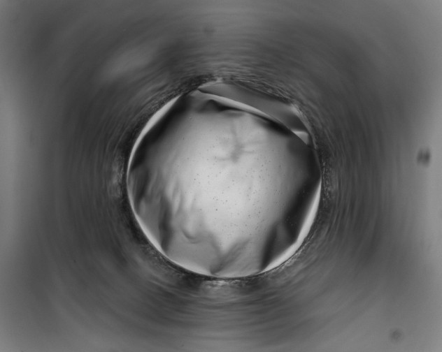 X0000099540082200806061504