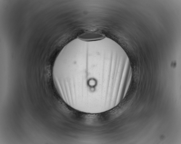 X0000099540085200806061504