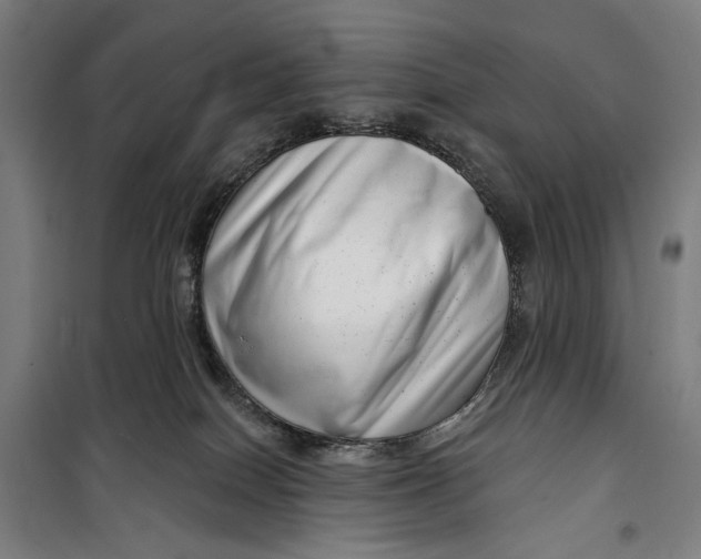 X0000099540086200806061504