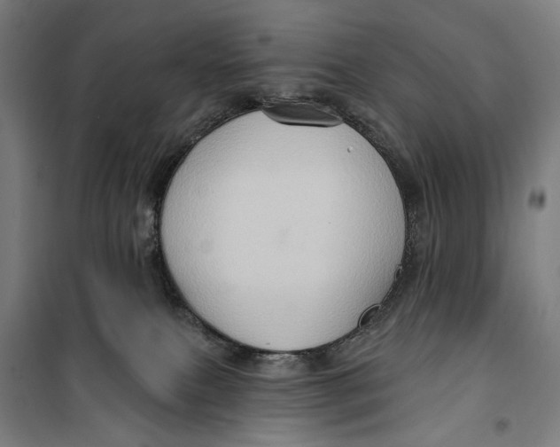 X0000099540087200806061504