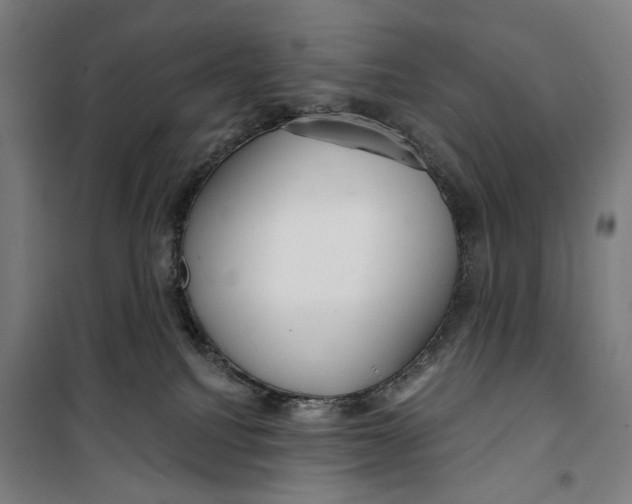 X0000099540088200806061504