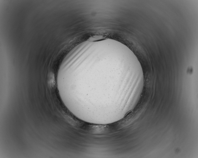 X0000099540089200806061504