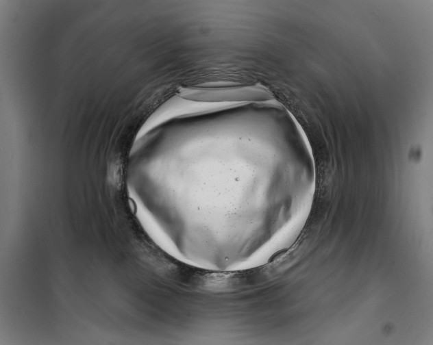 X0000099540090200806061504