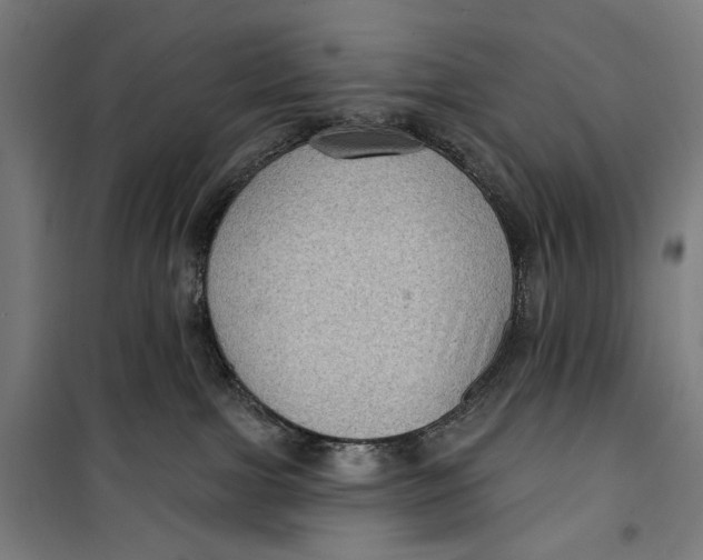 X0000099540091200806061504