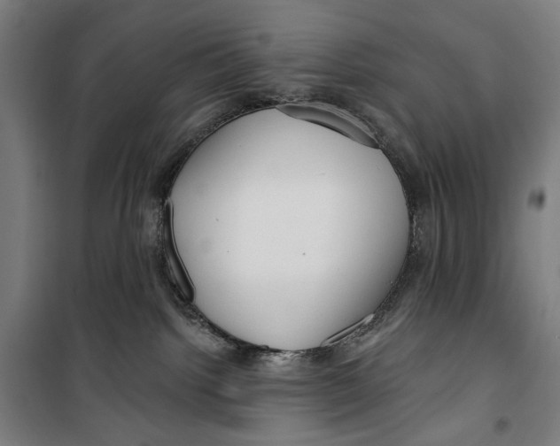 X0000099540092200806061504