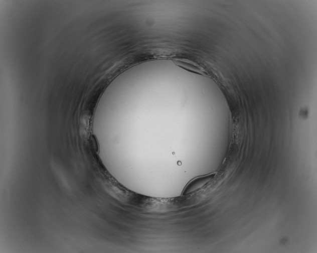 X0000099540093200806061504