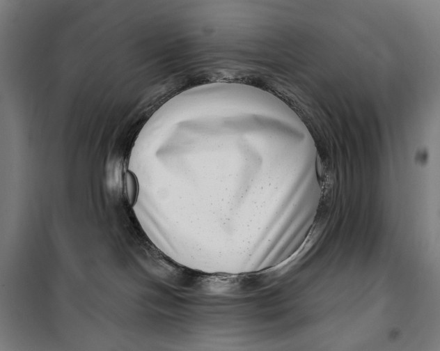 X0000099540094200806061504