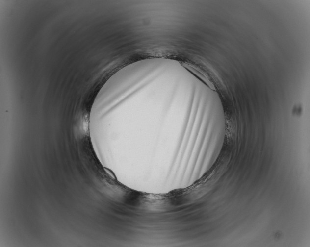 X0000099540095200806061504