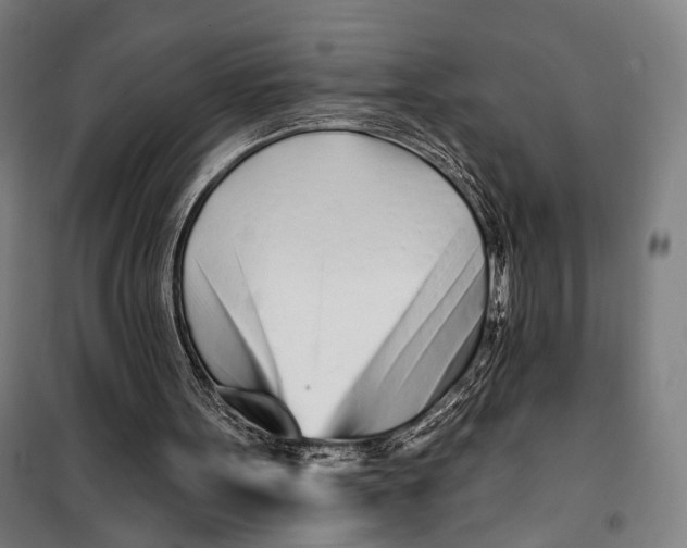 X0000099540099200806061503