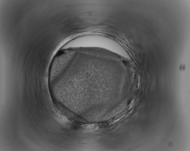 X0000099540100200806061503