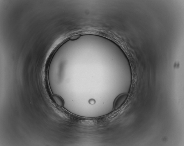 X0000099540102200806061503