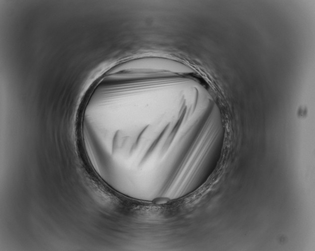 X0000099540104200806061503