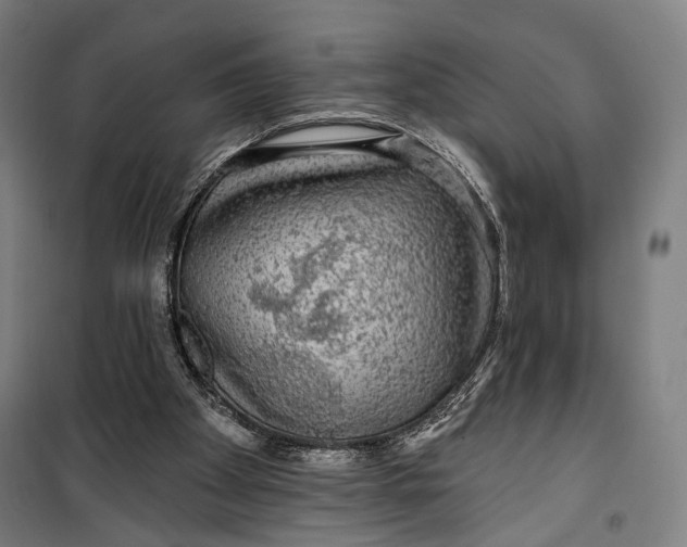 X0000099540105200806061503