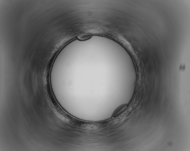 X0000099540106200806061503