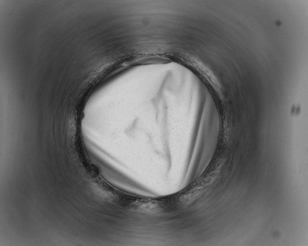 X0000099540113200806061503