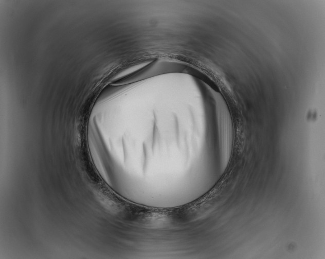 X0000099540114200806061503