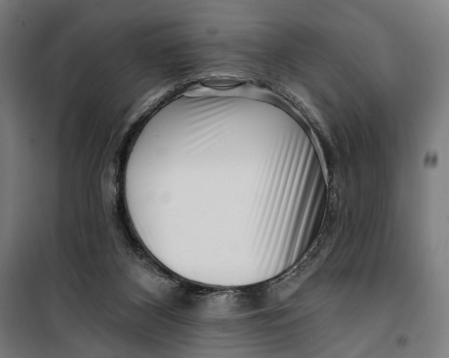 X0000099540116200806061503