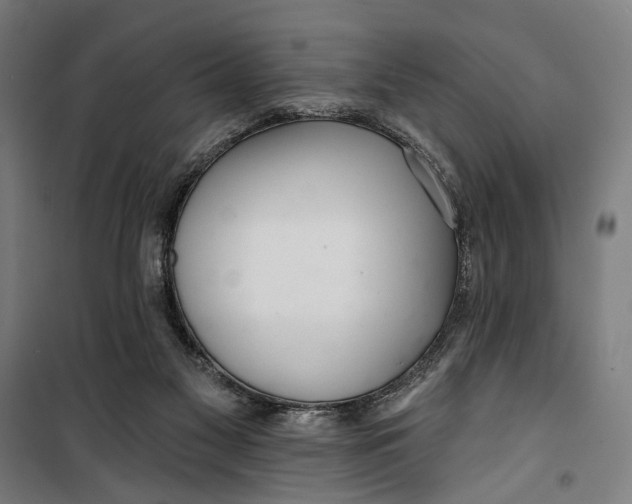 X0000099540117200806061503