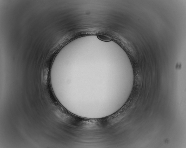 X0000099540118200806061503