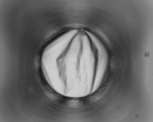 X0000099540119200806061503