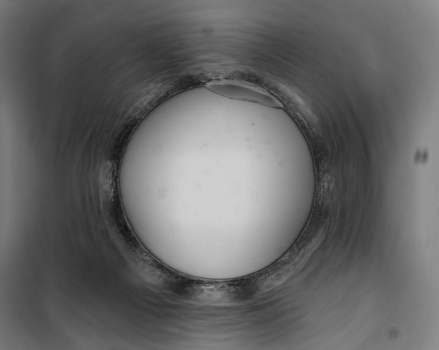 X0000099540121200806061503