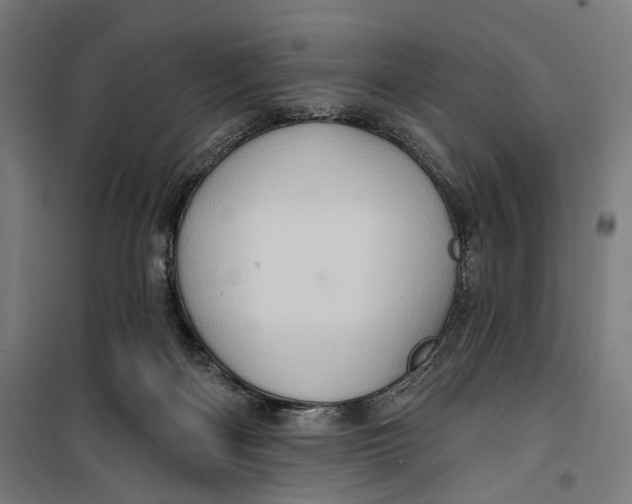 X0000099540122200806061503