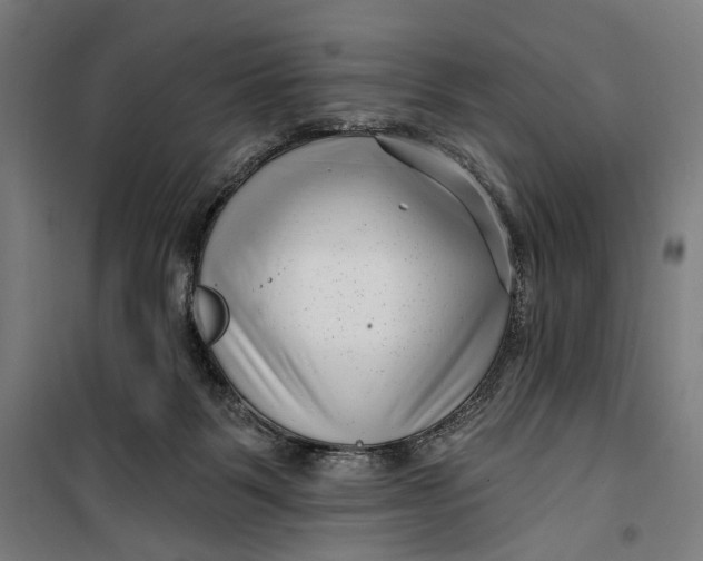 X0000099540123200806061503