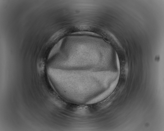 X0000099540124200806061503