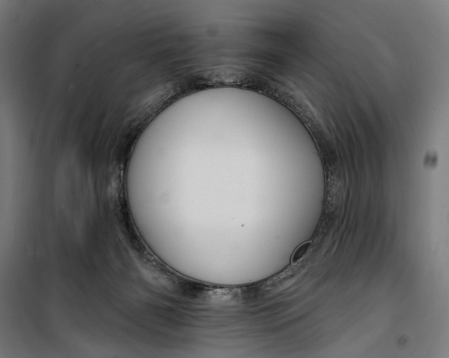 X0000099540126200806061503