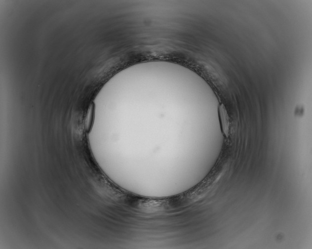 X0000099540129200806061503