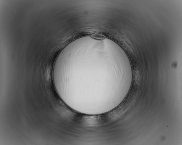 X0000099540131200806061503