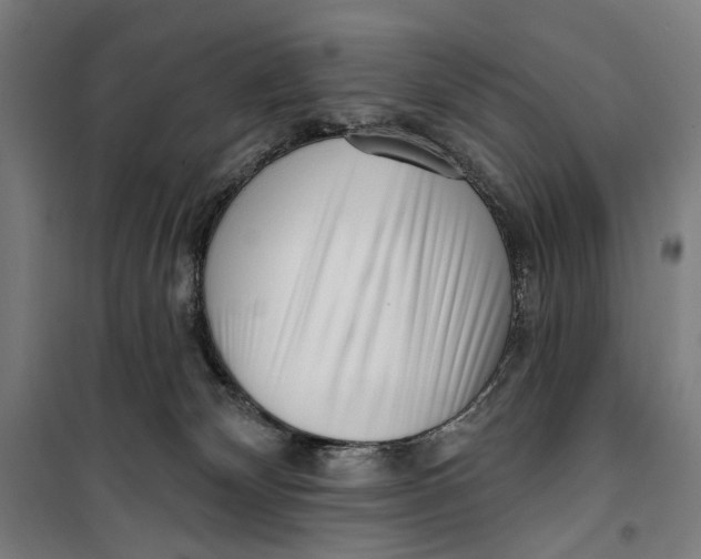 X0000099540132200806061503