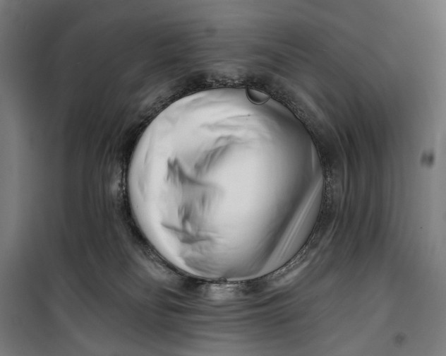 X0000099540134200806061503