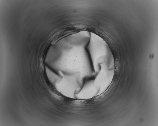 X0000099540136200806061503