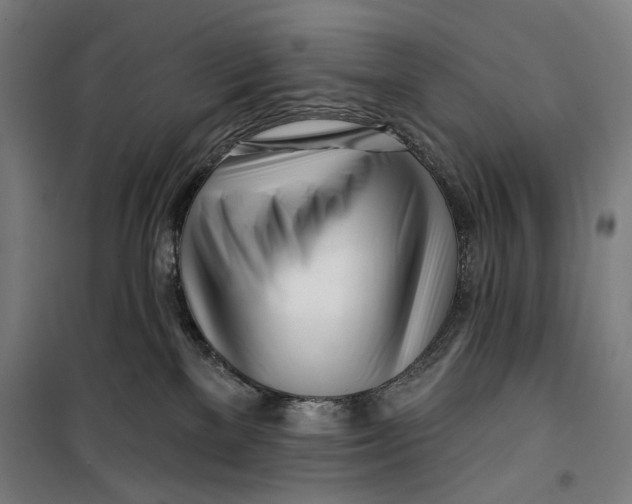 X0000099540137200806061503