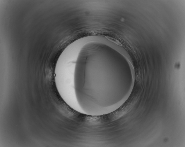 X0000099540139200806061503